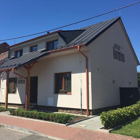 Penzion Hermina Veselí nad Moravou Exteriör bild