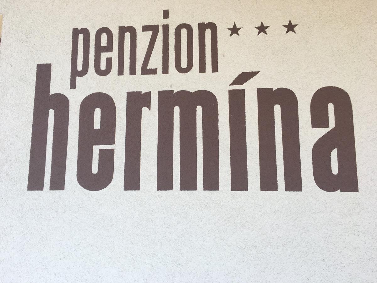 Penzion Hermina Veselí nad Moravou Exteriör bild